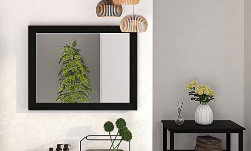 Large Framed Wall Mirror – 2 Colours #1
