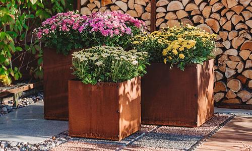 Juno Cube Corten Planter - 4 Sizes #119