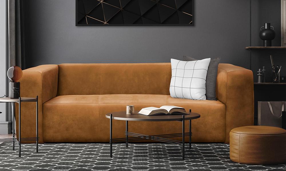 Tobacco store leather sofa