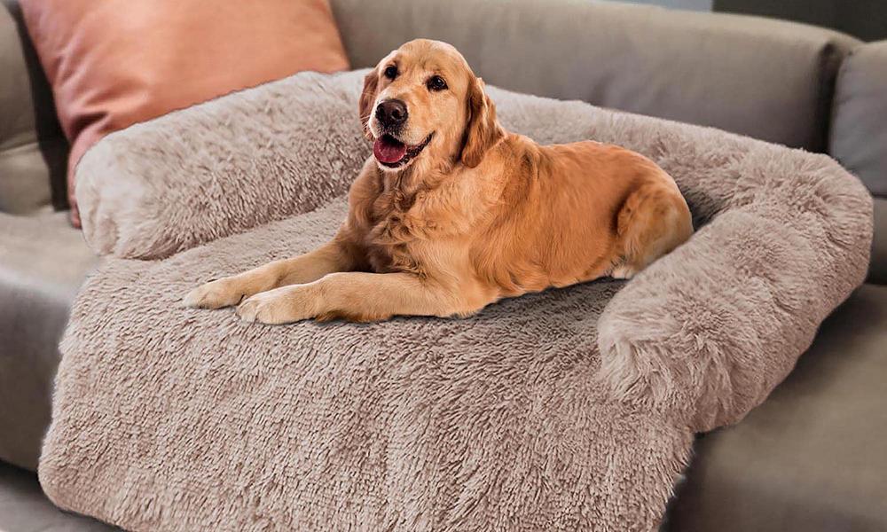 Super plush dog store bed