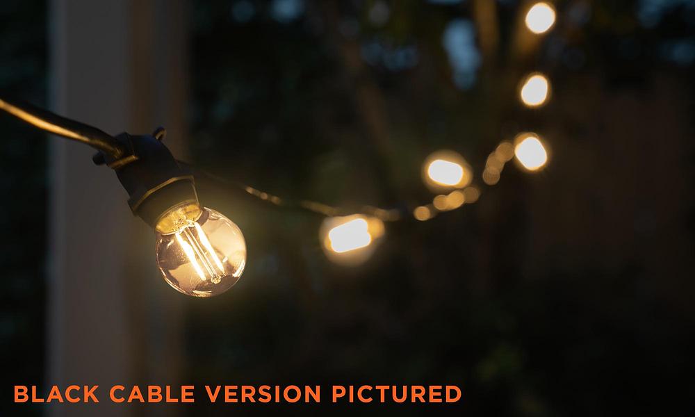 Festoon Lights Container Door Ltd