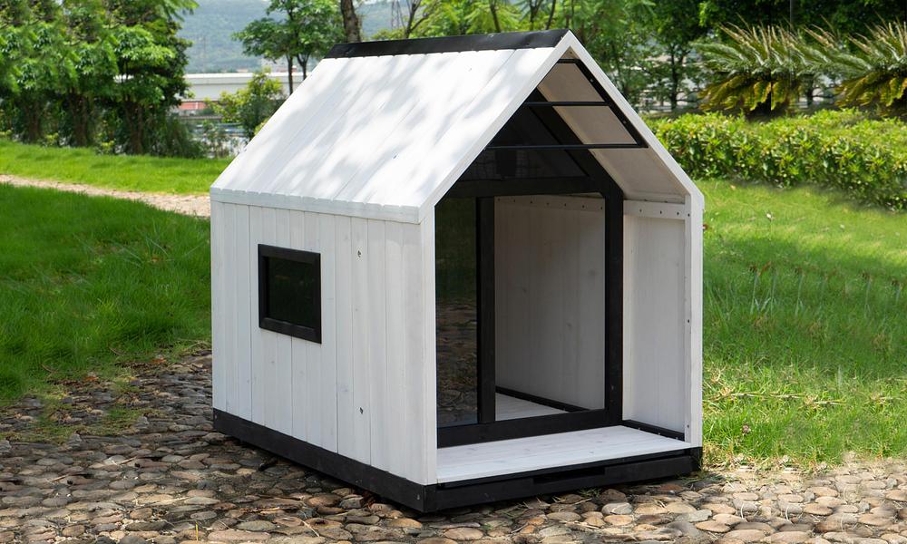 Modern best sale dog house