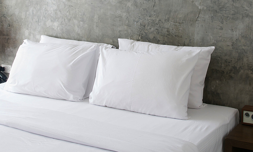 White Lotus 1000TC Cotton Sheet Set #1