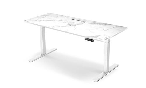 Electric Sit-Stand Desk with Wireless Charging #168