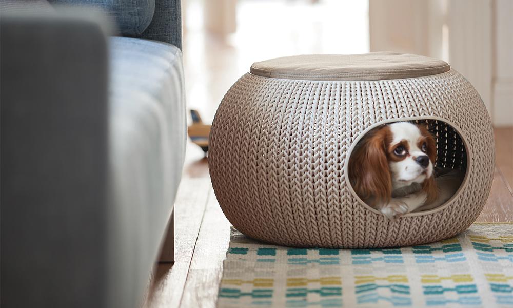 Curver clearance pet bed